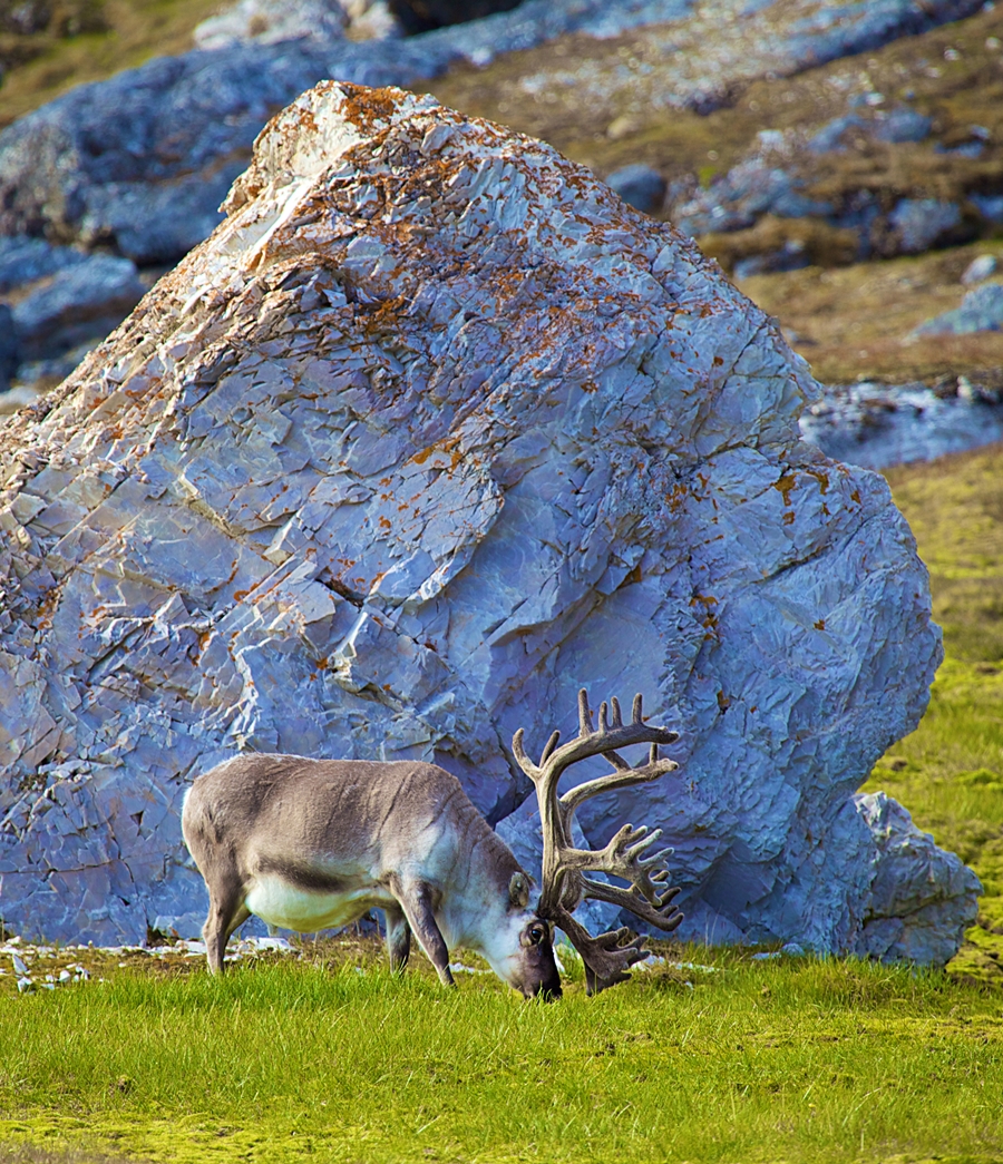 Svalbard